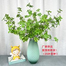 仿真日本吊钟多瓣叶马醉木盆栽绿植厂家直销摄影道具多平台拿货厂