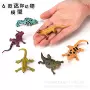 仿真迷你跨境认知动物
