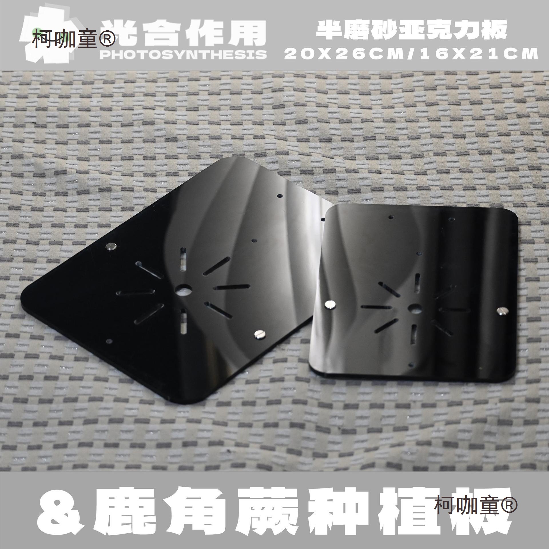 亚克力鹿角蕨挂板定植板热植上板蕨类石斛附生兰育苗板麦太保