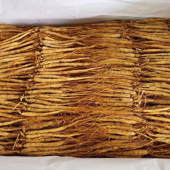 Changbai Mountain Ginseng bottled dried ginseng wholesale conference marketing gifts northeast specialty wholesale