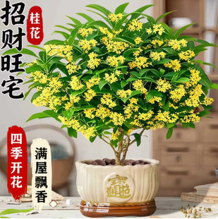 �ļ��𻨘����Ի����ļ��_�������҃��̨�����ͻ����辰�Gֲ��