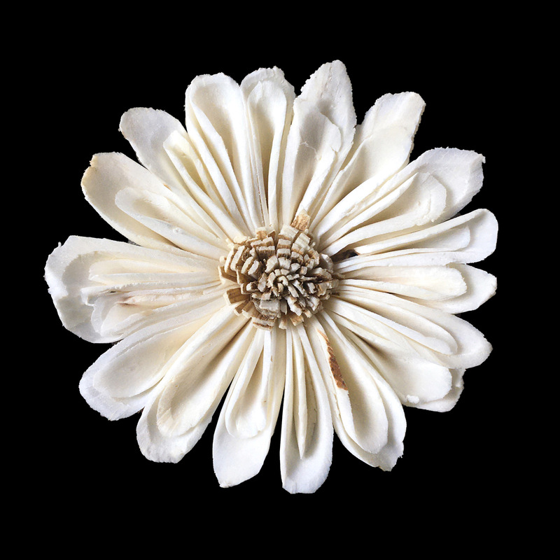 Ready-Made Wholesale | 6cm Graduation Season Daisy Caulou Latte Art Pastoral Style Home Decoration Flower Can Be Flower Arrangement Iron Wire