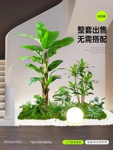 仿真绿植造景室内高端植物组合装饰商场餐厅橱窗仿楼梯下仿生景观