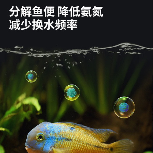 Baiyinmei nitrifying bacteria fish tank water purifier purification water quality stabilizer algaecide digestive bacteria non-fish medicine