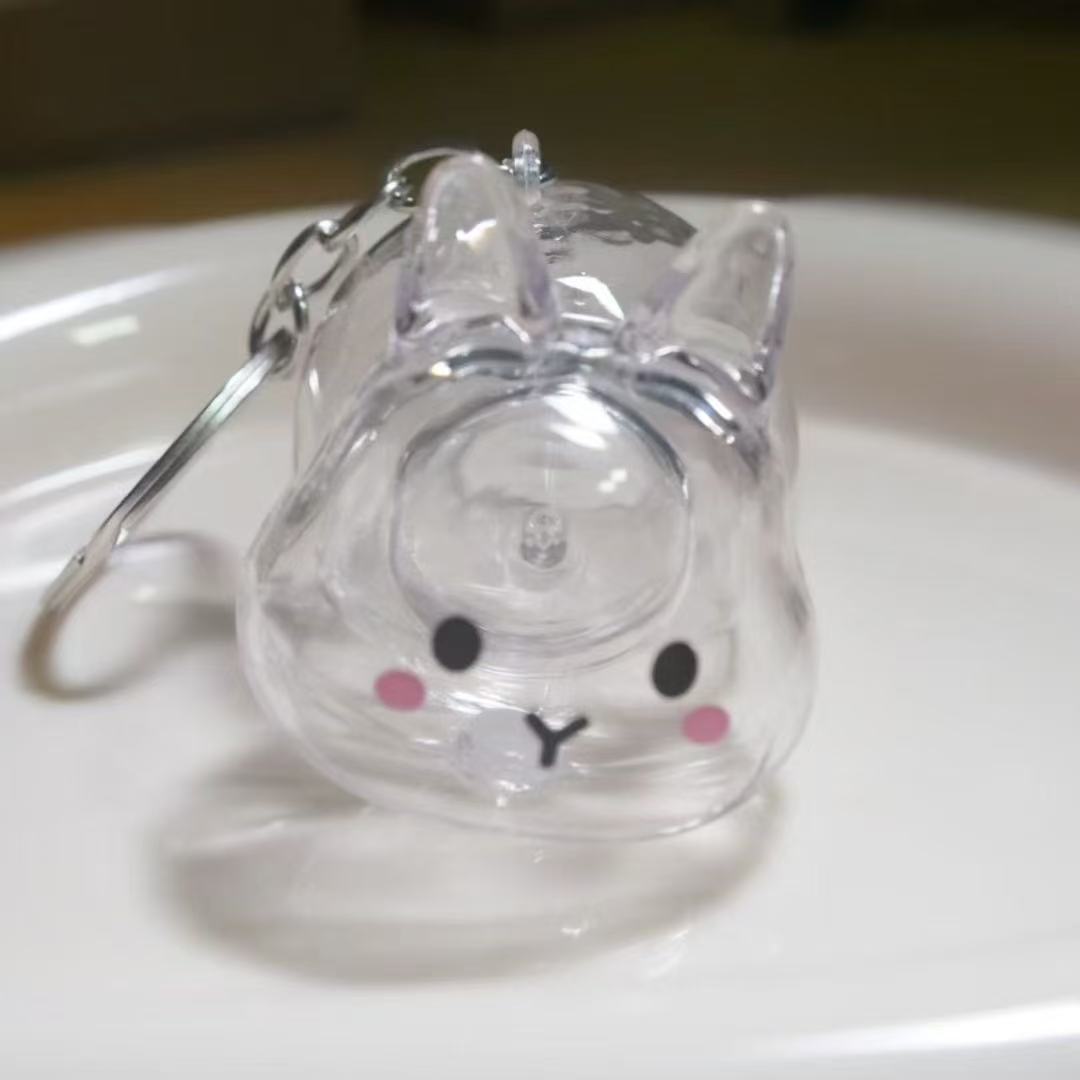 Caja de almacenamiento para perros y gatos colgantes de pelo transparente colección de almacenamiento cápsula bolsa colgantes de llaver