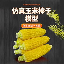 食物工艺品;仿真果蔬;动植物仿真