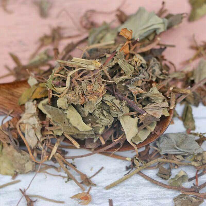 Dried Jin Qian Cao 金钱草 Loose Herb Slices for Traditional Tea and Decoction 500g overview