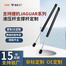�����ڽݱ�Jaguar�����������ɺ��仺��֧�Ÿ˻�������Һѹ��