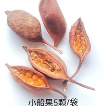 Nɻ}QbƷɻɹ޹ϞTDIY