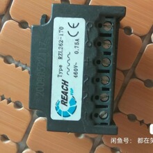 RZL262-170 R204-RZL262-170  REACH �x܇ ������