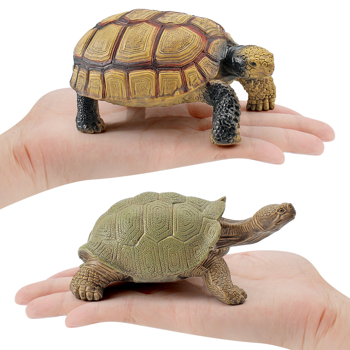 Transfronteriza Nueva simulación anfibio reptil modelo tierra tortuga elefante tortuga estrella tortuga estática decoración cognitiva decoración juguete