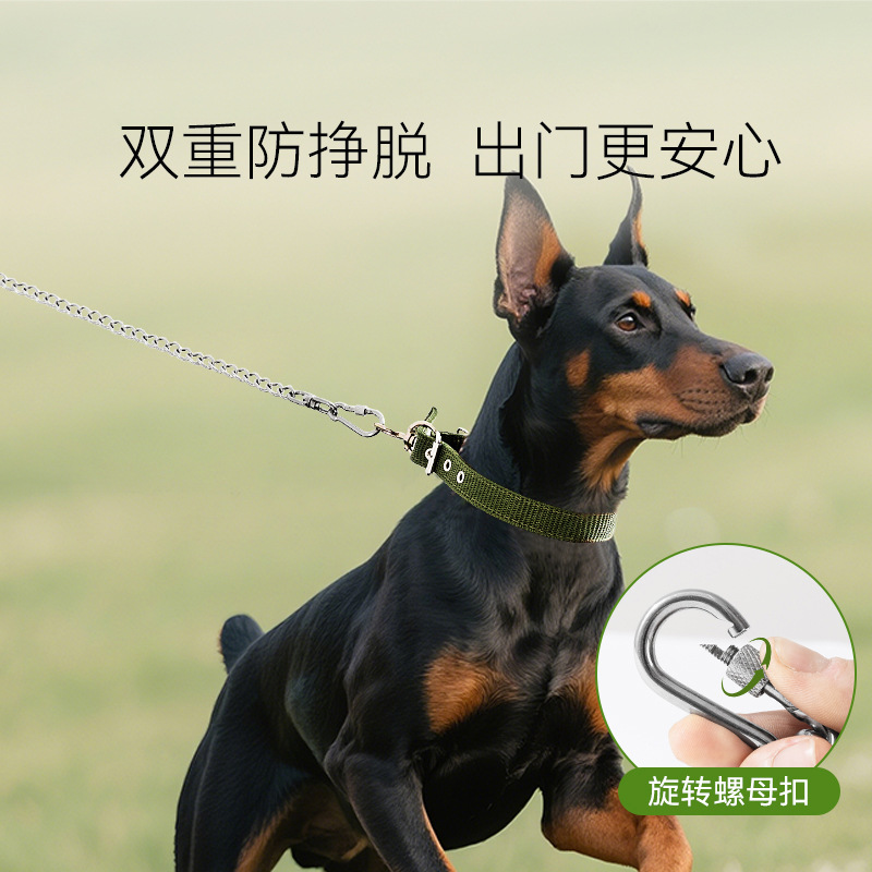 Cuerda de tracción de cadena de perro de acero inoxidable, collar, cadena de hierro, anti-mordedura, larga y antioxidante, cadena de perro, cuerda de tracción de salida de perro