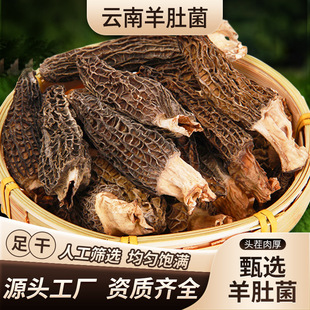 �����Ǿ�5-8���l����ɢ؛��؛�خa���^����b�Ҝ�ʳ�Ĵ��l����