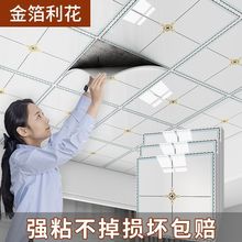 컨NbXܰ堝NճlgN´ɴuNQ