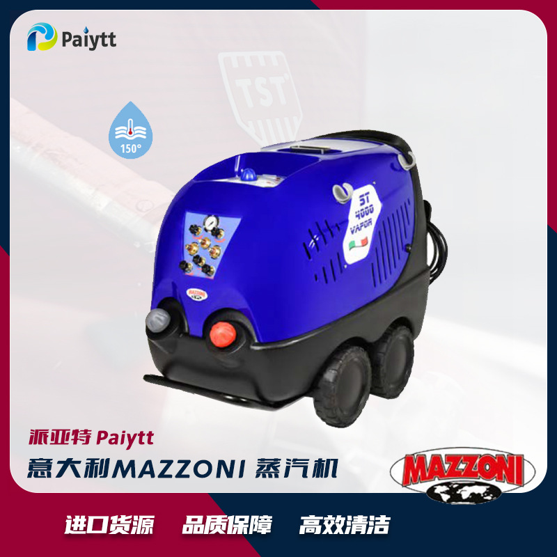 蒸汽机意大利MAZZONI  蒸汽清洗机 ST 4000 高温蒸汽