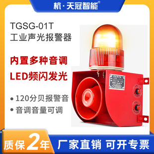 Tgsg-01T Industrial Sound and Light Alarm Adjustable Crane Forklift Driving Voice Prompt Alarm 220V