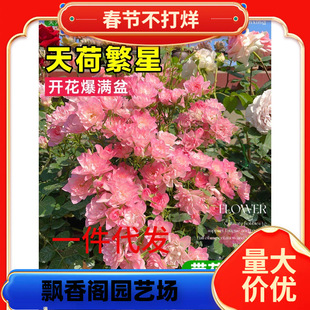 һ�����l��ɷ����¼������ش����������¼��ٱ��¼���֭�̨��