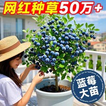 l25{ݮ{÷玧ݮ҃ͺϱ܇ļ