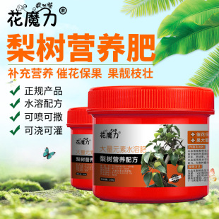 ����滨���àI�B�ʰ�������滨�辰����ͥ�ˈ@�̨�ļ��B�o�÷�