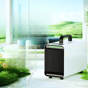 Feili Formaldehyde Remover New House Emergency Formaldehyde Removal Handy Gadget Sterilization Ozone Disinfection Machine