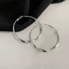 32 Silver Needle-Silver.