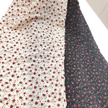 ����������ܛ�����H�w͸����С�����B��ȹ�r�G�黨�������l΢͸