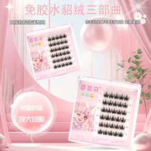 ���z5Dˮ���q�������ٽ�ë �W��ë���Ћ냺���ֶ���ж��ճ�۽�ë