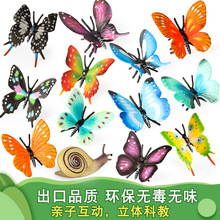 ���ķ��挍�����x����ģ����β���������Pβ�������b��׃��@�̾�