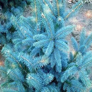 �������l�{ɼ�����b��}�Q��@�־G�����̳�����ͥԺ����