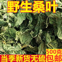 桑叶霜后桑叶包邮新鲜晒干桑叶茶500克一斤装