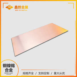 厂家直供 C72500 CuNi9Sn2铜镍锡合金板材 高强度高耐磨材料