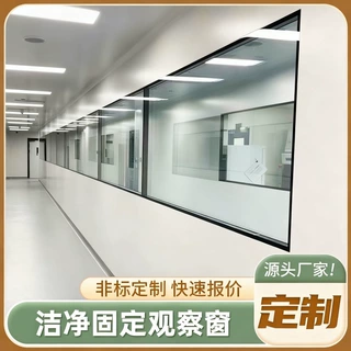 源头厂家无尘车间固定观察窗洁净室非标定制净化工程中空钢化玻璃