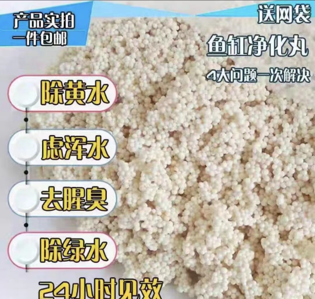 微信图片_20220806061346