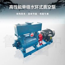 2BE303系列水环式真空泵 大气量水环式真空泵造纸行业抽真空鲁中