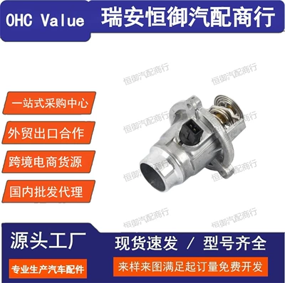 11537586885 11537502779 11530150976 Suitable for Bmw N62/N63/N73 Thermostat (Thermostat)