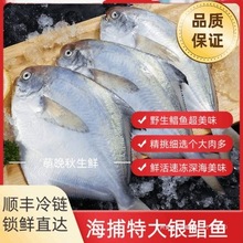 S]|K~rK~yK~Ұƽ~rˮaK~