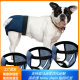 Dog Anti-Mating Anti-Harassment Device Pet Dog Physiological Pants Menstrual Safety Pants for Female Dogs