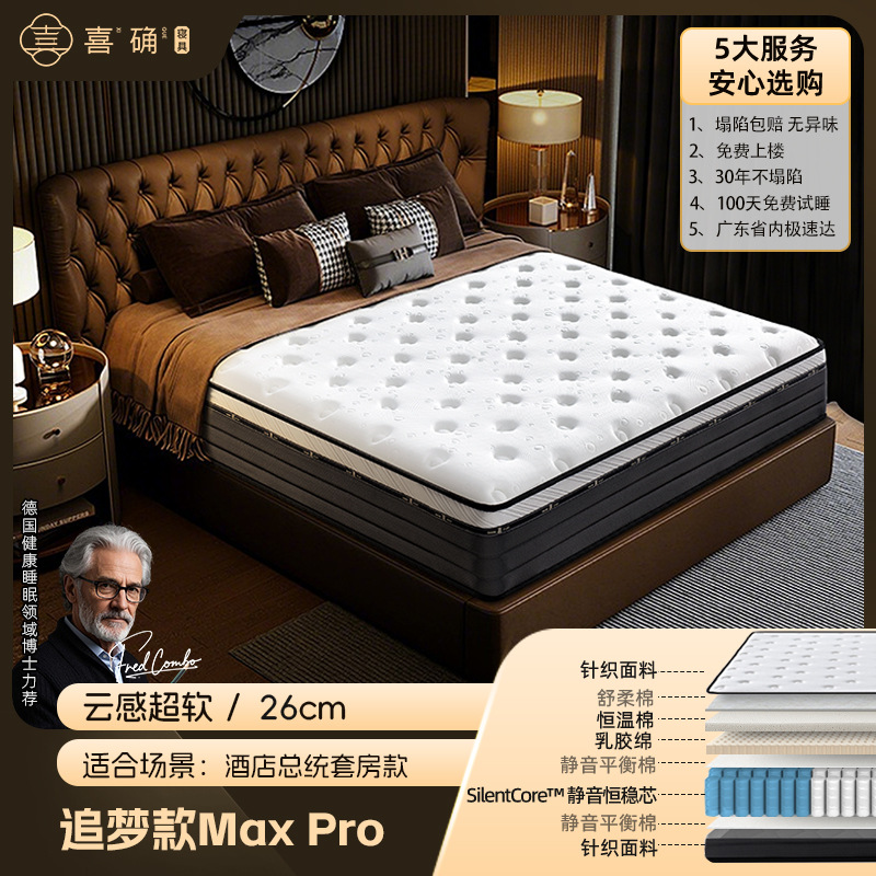 Dream chasing model: soft cloud [q elastic soft/26cm thick]