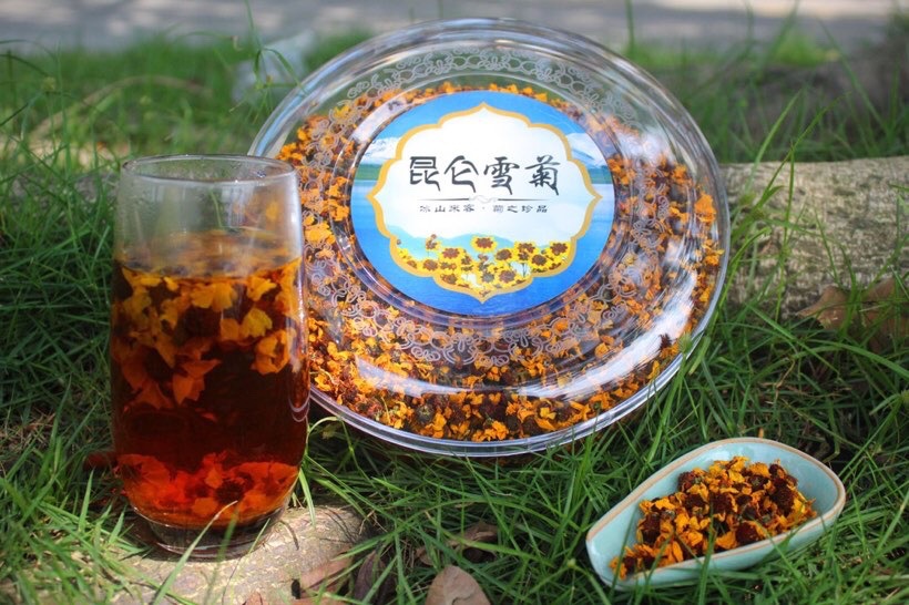 hmqViviiyNSAyin9WuaXtxwf15/d/L/jL3xK