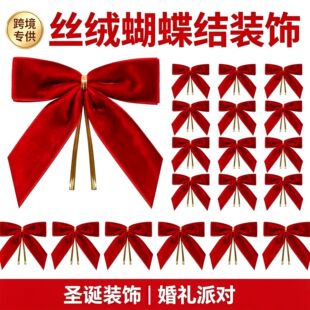 �羳2.5cm�Ƽt���Z�q�����Y�YƷ���b��Y�Ɍ��Ҿ��}�Q���b��