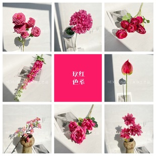 õ�tɫϵ���滨��õ�tɫ��Y�üٻ�·��������S�����l��c����