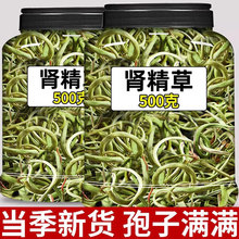 �L��ɽҰ�������໽Ж|����ʯ�ݾ����S�����Ʒ�ٷ���Ş��