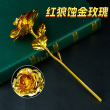 �Α���߅25���׼t���g��õ��߼���ɫõ�廨������Ϧ�Y��[���p��