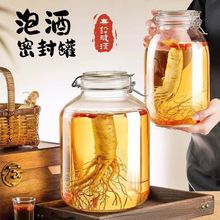 人参泡酒玻璃瓶专用加厚家用杨梅空瓶容器密封罐酒坛酒酿青梅酒瓶