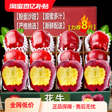 甘肃天水花牛苹果新鲜水果当季正宗平果红蛇粉面丑果整箱包邮宝宝