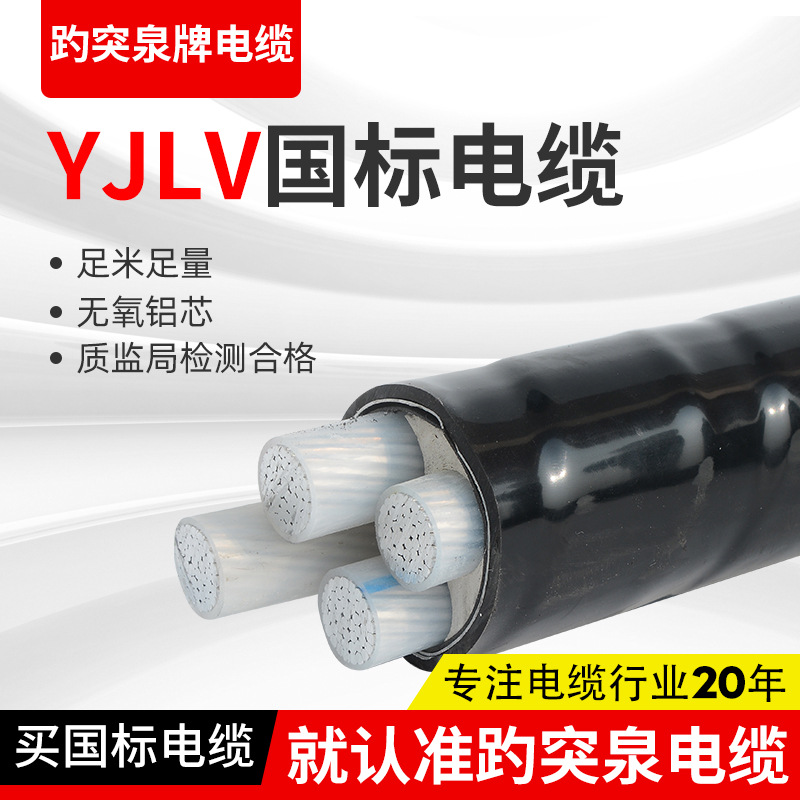厂家销售铜芯10平方电力电缆YJV22  低压地埋架空动力电缆线