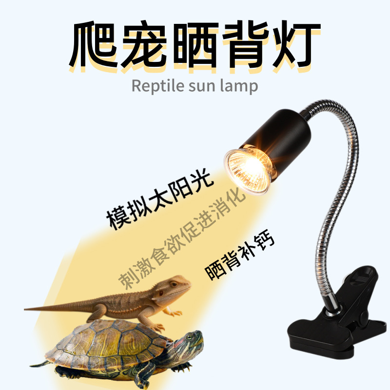 Cross-border supply of turtle basking lamps, UVA lamps specifically for reptiles, calcium supplement lamps, and heating lamps for reptiles Cross-border supply of turtle basking lamps, UVA lamps specifically for reptiles, calcium supplement lamps, and heating lamps for reptiles