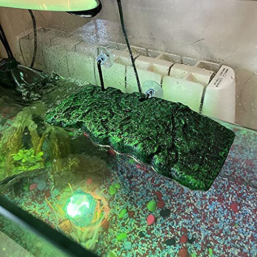 Mascotas trepadoras, tortugas, patas secas, rocalla, terraza, pecera, tortuga de agua, tortuga de escalada, isla flotante, plataforma flotante mediana, tabla flotante