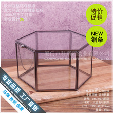 铜条六面直柱玻璃花房永生花木盒苔藓微景观透明创意多肉花盆批发