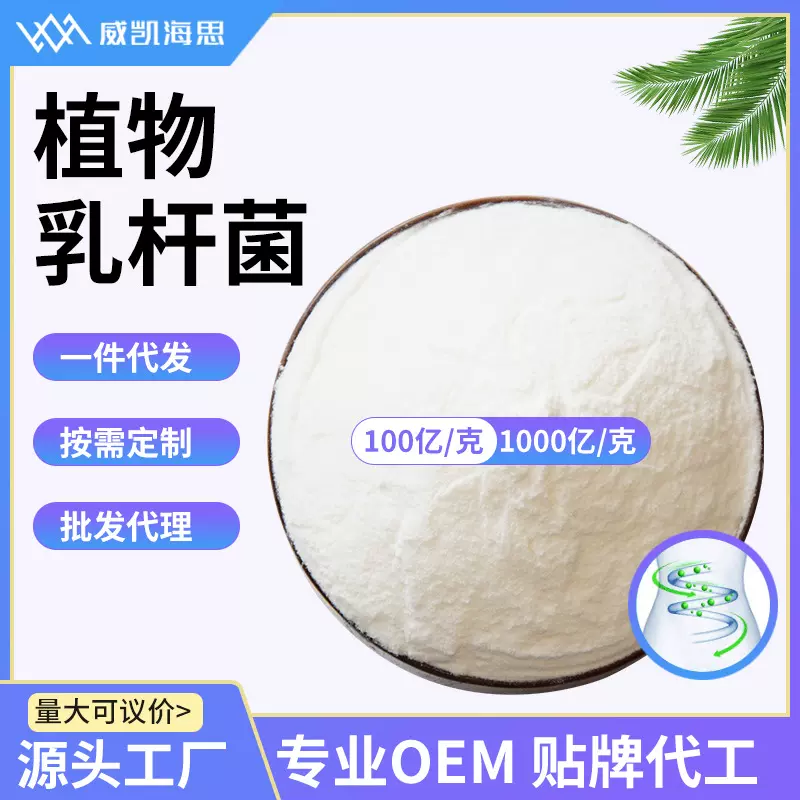 厂家植物乳杆菌 冻干型乳酸菌益生菌固体饮料复合食品级发酵原料